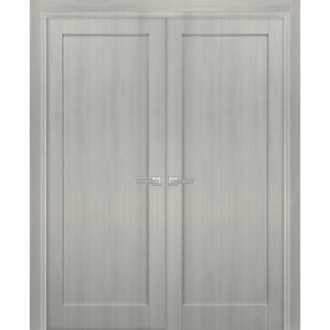 French Double Panel Doors with Hardware | Quadro 4111 Grey Ash | Panel Frame Trims | Bathroom Bedroom Interior Sturdy Door - BUILDMYPLACE