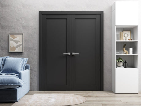 French Double Panel Lite Doors Hardware | Quadro 4111 Matte Black | Panel Frame Trims | Bathroom Bedroom Interior Sturdy Door - BUILDMYPLACE