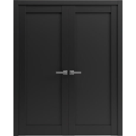 French Double Panel Lite Doors Hardware | Quadro 4111 Matte Black | Panel Frame Trims | Bathroom Bedroom Interior Sturdy Door - BUILDMYPLACE