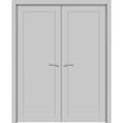 French Double Panel Lite Doors Hardware | Quadro 4111 Matte Grey | Panel Frame Trims | Bathroom Bedroom Interior Sturdy Door - BUILDMYPLACE