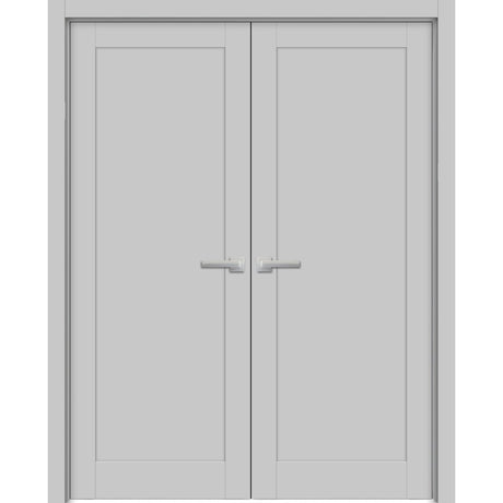 French Double Panel Lite Doors Hardware | Quadro 4111 Matte Grey | Panel Frame Trims | Bathroom Bedroom Interior Sturdy Door - BUILDMYPLACE