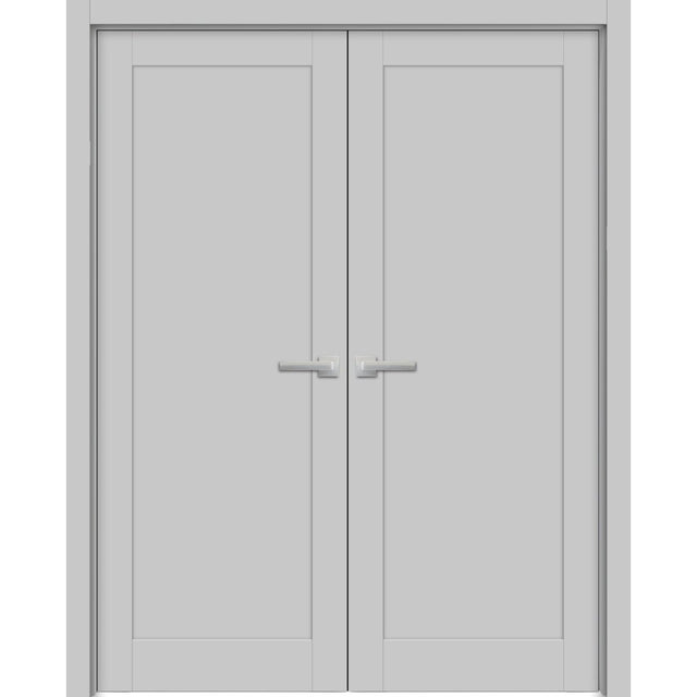 French Double Panel Lite Doors Hardware | Quadro 4111 Matte Grey | Panel Frame Trims | Bathroom Bedroom Interior Sturdy Door - BUILDMYPLACE