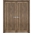 French Double Panel Lite Doors Hardware | Quadro 4111 Walnut | Panel Frame Trims | Bathroom Bedroom Interior Sturdy Door - BUILDMYPLACE