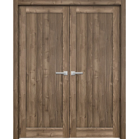 French Double Panel Lite Doors Hardware | Quadro 4111 Walnut | Panel Frame Trims | Bathroom Bedroom Interior Sturdy Door - BUILDMYPLACE