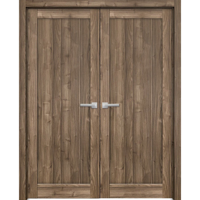 French Double Panel Lite Doors Hardware | Quadro 4111 Walnut | Panel Frame Trims | Bathroom Bedroom Interior Sturdy Door - BUILDMYPLACE