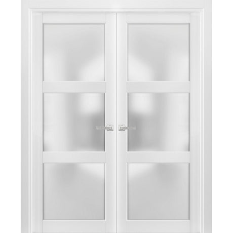 French Double Panel Lite Doors with Hardware | Lucia 2552 White Silk with Frosted Glass | Panel Frame Trims | Bathroom Bedroom Interior Sturdy Door - BUILDMYPLACE