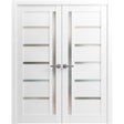 French Double Panel Lite Doors with Hardware | Quadro 4088 White Silk with Frosted Glass | Panel Frame Trims | Bathroom Bedroom Interior Sturdy Door - BUILDMYPLACE