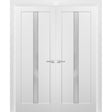 French Double Panel Lite Doors with Hardware | Quadro 4112 White Silk with Frosted Glass | Panel Frame Trims | Bathroom Bedroom Interior Sturdy Door - BUILDMYPLACE
