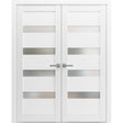 French Double Panel Lite Doors with Hardware | Quadro 4113 White Silk with Frosted Glass | Panel Frame Trims | Bathroom Bedroom Interior Sturdy Door - BUILDMYPLACE