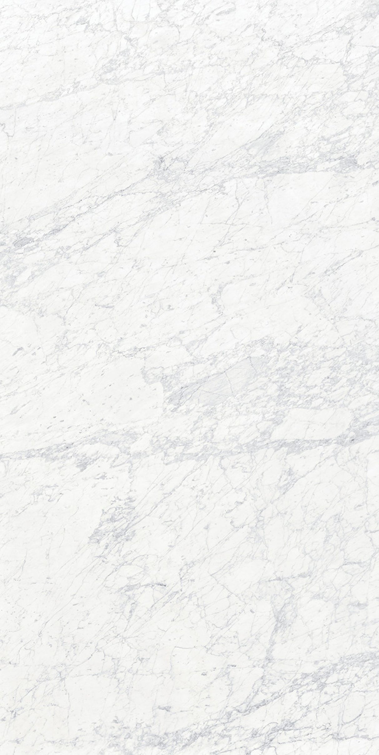 64 x 127 in Bianco Gioia Block 19 Bookmatch Cut Honed Colorsync Sintered Slab 12 mm / 0.47 in (55.11 Sqft/box)