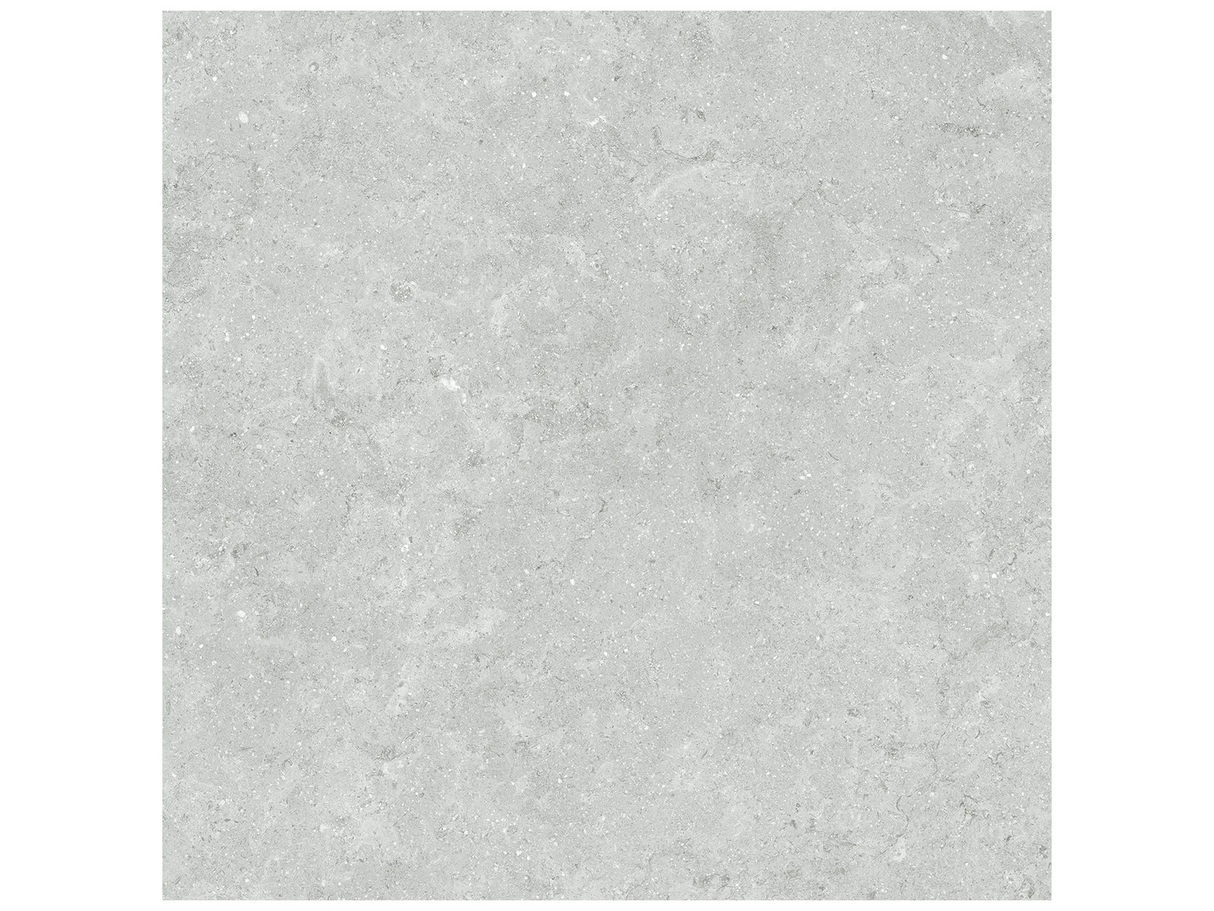 20 x 20 in Coliseo Platinum Matte Pressed Glazed Porcelain Tile