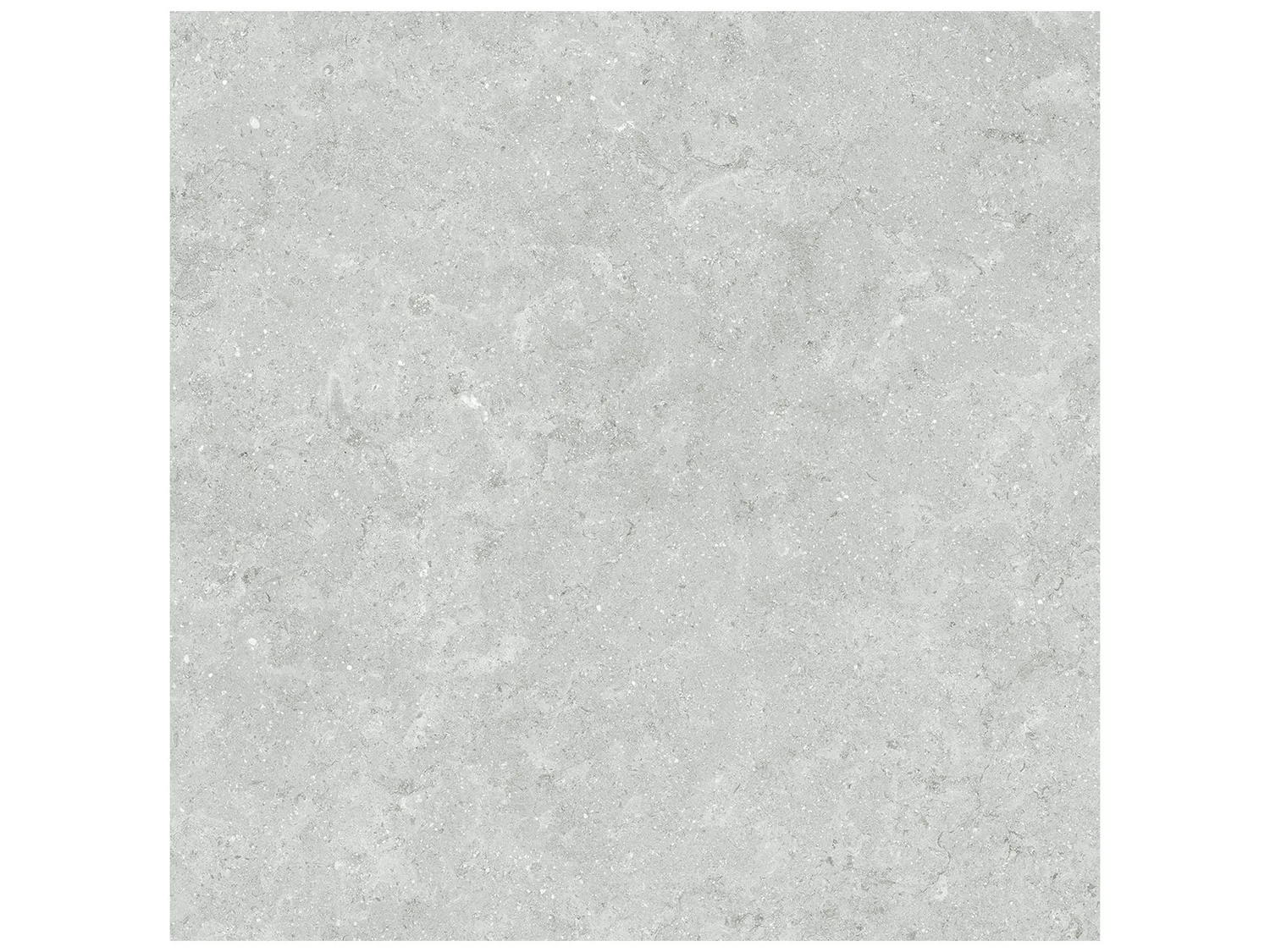 20 x 20 in Coliseo Platinum Matte Pressed Glazed Porcelain Tile