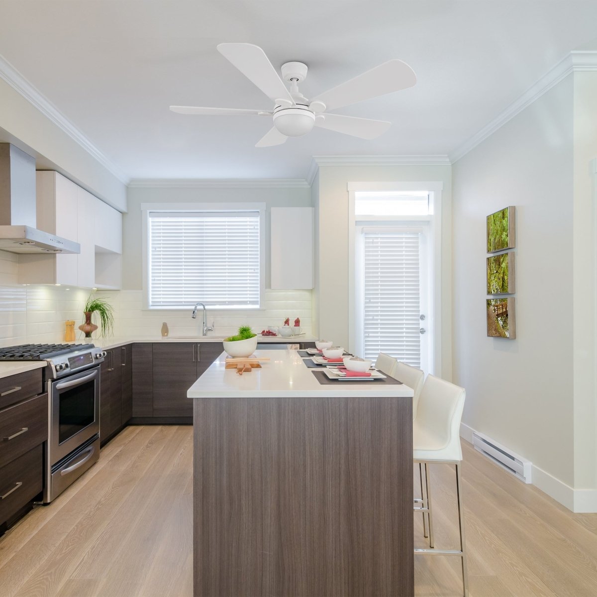 ZELDA 52 inch 5 - Blade Ceiling Fan with LED Light & Remote - LEDMyPlace