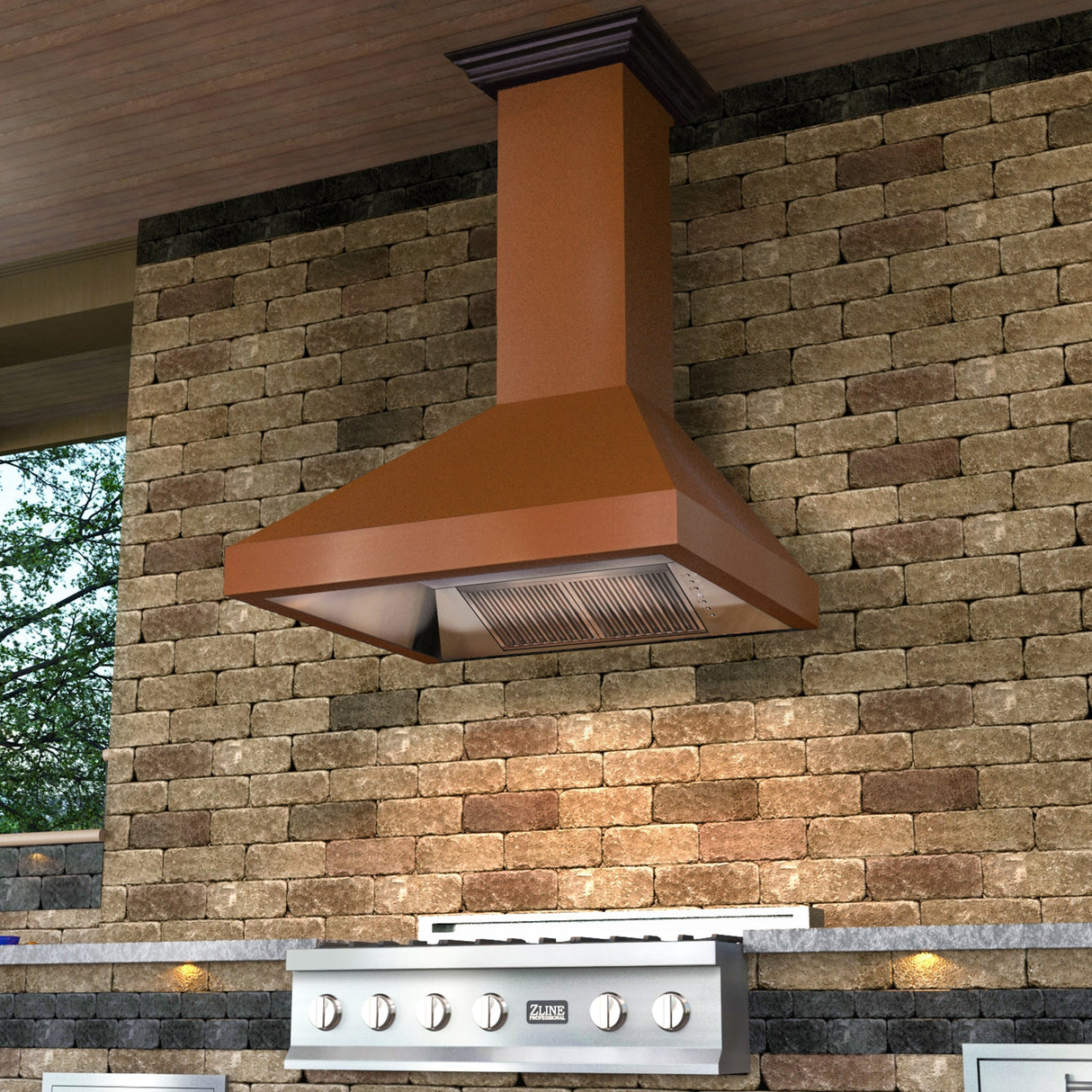 ZLINE 36" Designer Series Ducted Wall Mount Range Hood (8667C-36)