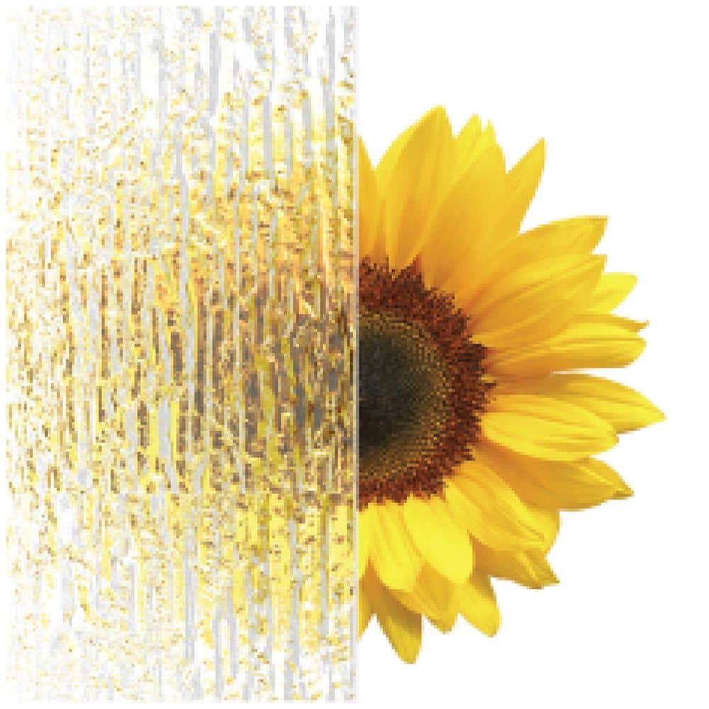 Semi-Framed Sliding Bypass Glass Shower Door - Cove