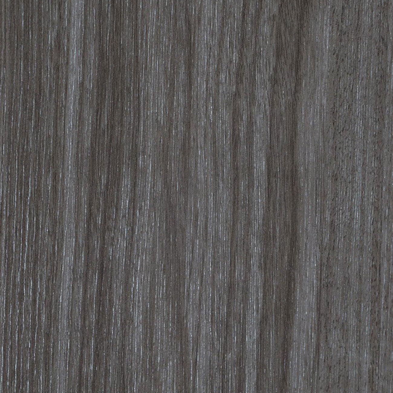 Palladio 4H Interior Door in Gray Oak Finish