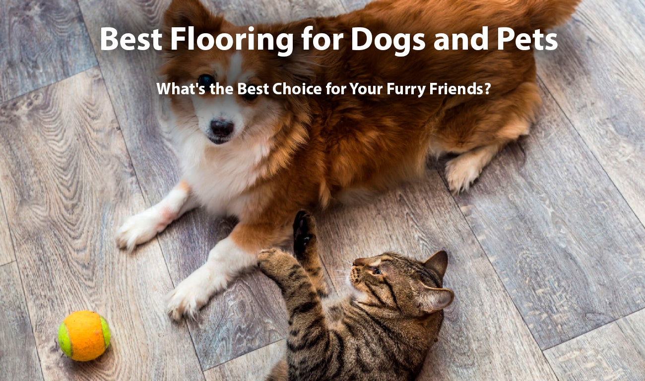 Best Flooring for Dogs and Pets: What's the Best Choice for Your Furry Friends?