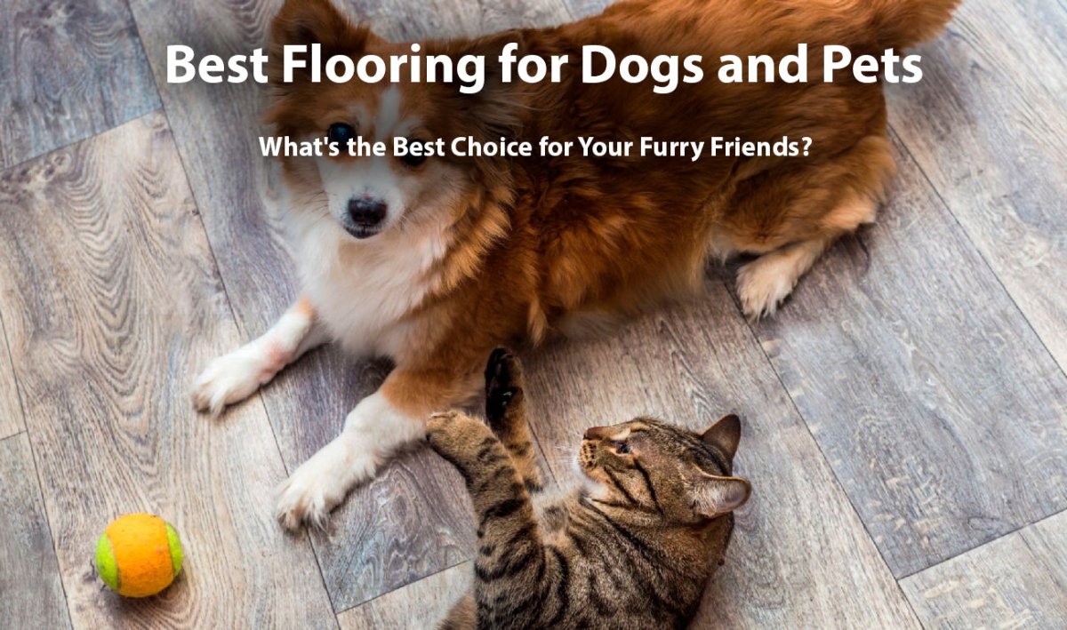 Best Flooring for Dogs and Pets: What's the Best Choice for Your Furry Friends? - BUILDMYPLACE