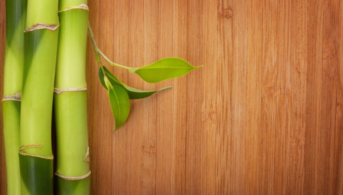 The Beauty and Sustainability of Bamboo Flooring: A Comprehensive Guide - BUILDMYPLACE