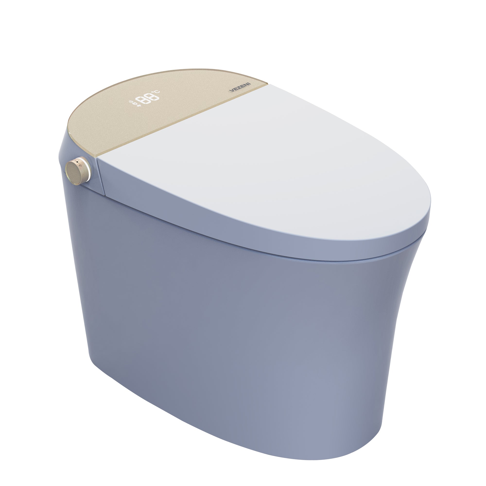 Smart Toilets