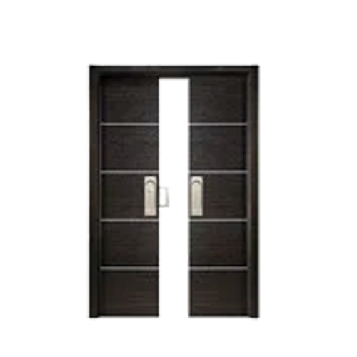 Double Pocket Doors