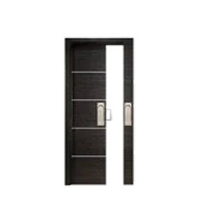 Pocket Doors