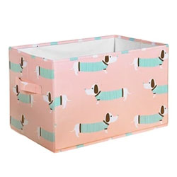 Collapsible Box