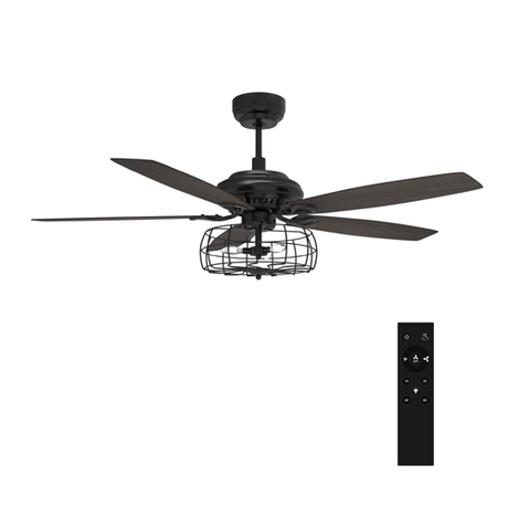 Indoor Smart Ceiling Fan With Remote