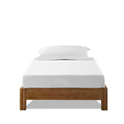 Twin Size Mattress