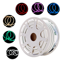 LED Neon Rope Lights