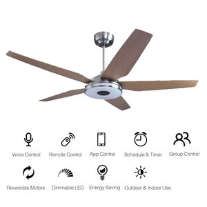 Smart Ceiling Fans