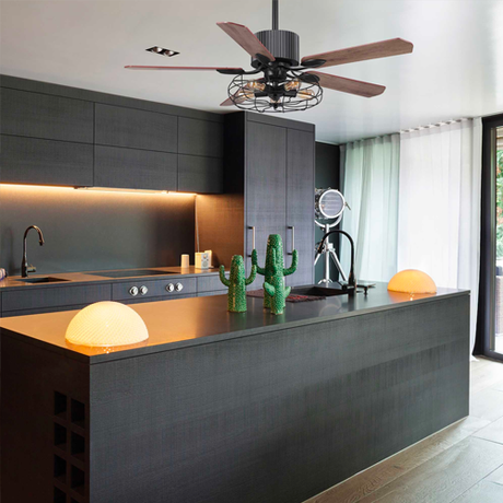 Indoor Smart Ceiling Fan With Light