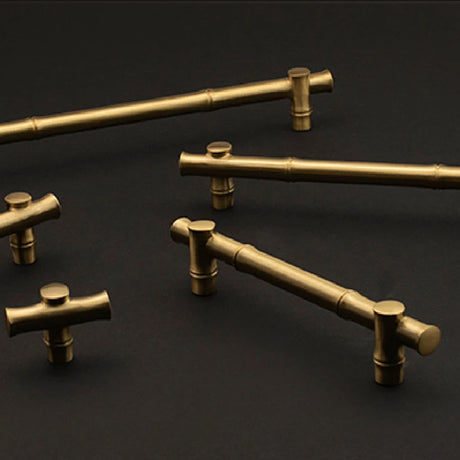 Junzi Collection