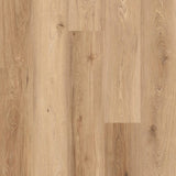 Luxury Vinyl Plank Glue Down Flooring, Sun Valley, 7-1/4" x 48" x 2.5mm, 12 mil Wear Layer - Uptown Collections (36.24SQ FT/ CTN)