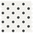 1 In Hexagon Canvas White W/ Insert Soho Retro Black Matte Glazed Porcelain Mosaic - BUILDMYPLACE