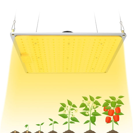 1000W Full Spectrum LED Grow Light with UV/IR for Hydroponic Indoor Plants Veg and Flower Growth - BUILDMYPLACE