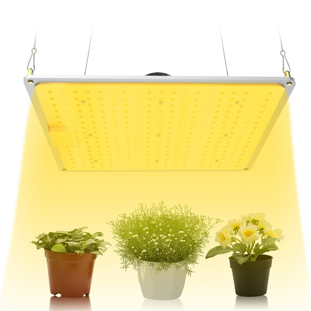 1000W Full Spectrum LED Grow Light with UV/IR for Hydroponic Indoor Plants Veg and Flower Growth - BUILDMYPLACE