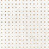 12" X 12" Bianco Dolomite Crema Warm White Dotty Pattern Mosaic Sheet (10.7SQ FT/CTN) - BUILDMYPLACE