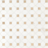 12" X 12" Bianco Dolomite Crema Warm White Dotty Pattern Mosaic Sheet (10.7SQ FT/CTN) - BUILDMYPLACE