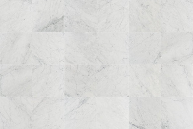 12 X 12 in. Bianco Carrara White Honed Marble Tile - BUILDMYPLACE