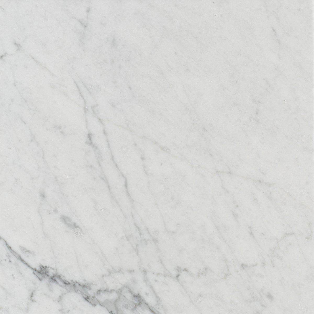 12 X 12 in. Bianco Carrara White Honed Marble Tile - BUILDMYPLACE