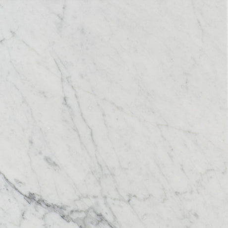 12 X 12 in. Bianco Carrara White Honed Marble Tile - BUILDMYPLACE