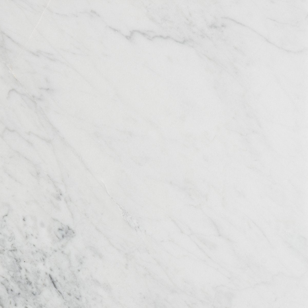 12 X 12 in. Bianco Carrara White Honed Marble Tile - BUILDMYPLACE