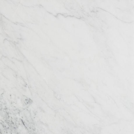 12 X 12 in. Bianco Carrara White Honed Marble Tile - BUILDMYPLACE