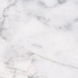 12 X 12 In Classic Carrara Matte Pressed Glazed Porcelain - BUILDMYPLACE