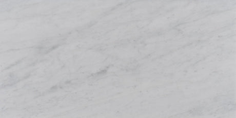 12 x 24 in. Bianco Carrara White Honed Marble Tile - BUILDMYPLACE