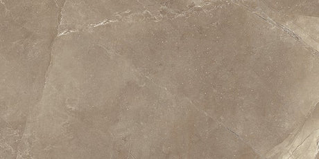 12 x 24 in Classic Pulpis Moca Matte Pressed Glazed Porcelain Tile - BUILDMYPLACE