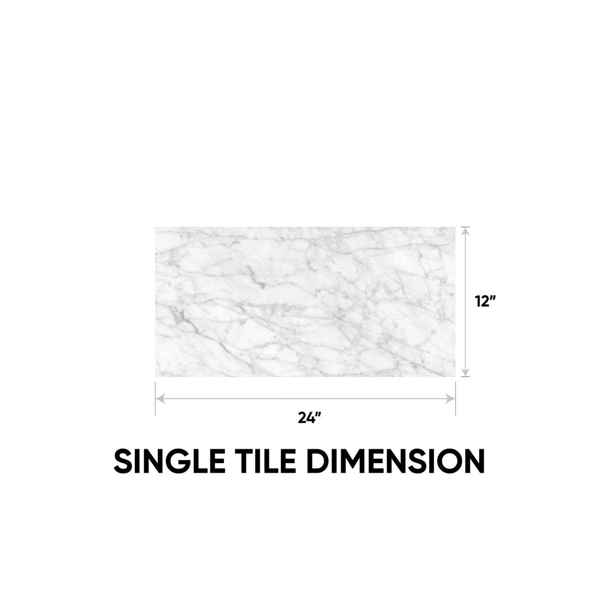 12 x 24 in. La Marca Carrara Gioia Honed Rectified Glazed Porcelain Wall Tile - BUILDMYPLACE