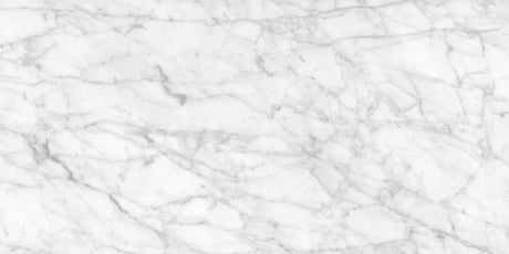 12 x 24 in. La Marca Carrara Gioia Polished Rectified Glazed Porcelain Wall Tile - BUILDMYPLACE