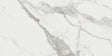 12 x 24 in. Mayfair Statuario Venato Matte Rectified Glazed Porcelain Tile - BUILDMYPLACE